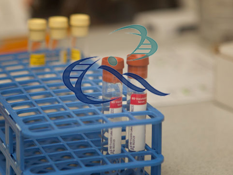 Covid - 19 Virus Image